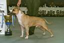 19 - Trouble posing 1.jpg